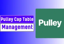 Pulley Cap Table Management