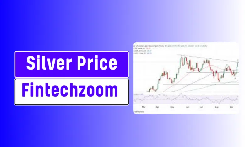 Silver Price Fintechzoom Graph