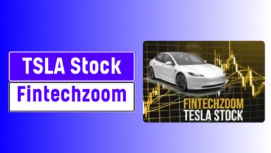 Fintechzoom TSLA Stock