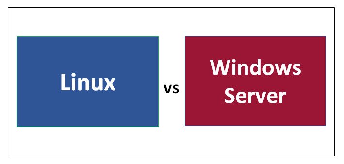 Linux and Windows Servers Uses