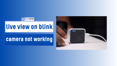 live view on blink camera not working